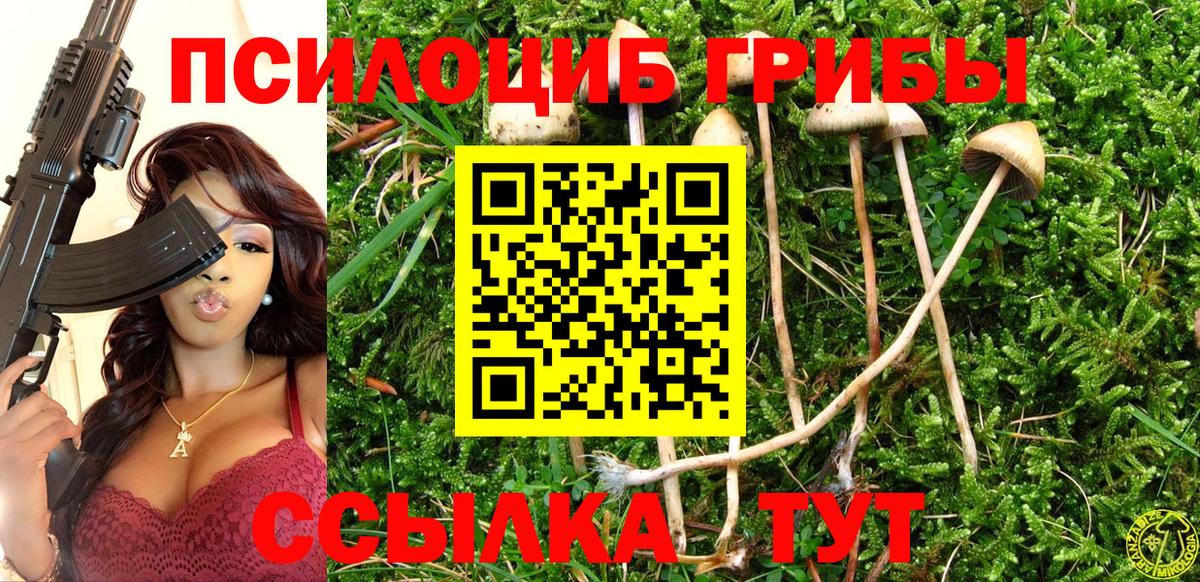 Галлюциногенные грибы прущие грибы  Вход с VPN  Магнитогорск 