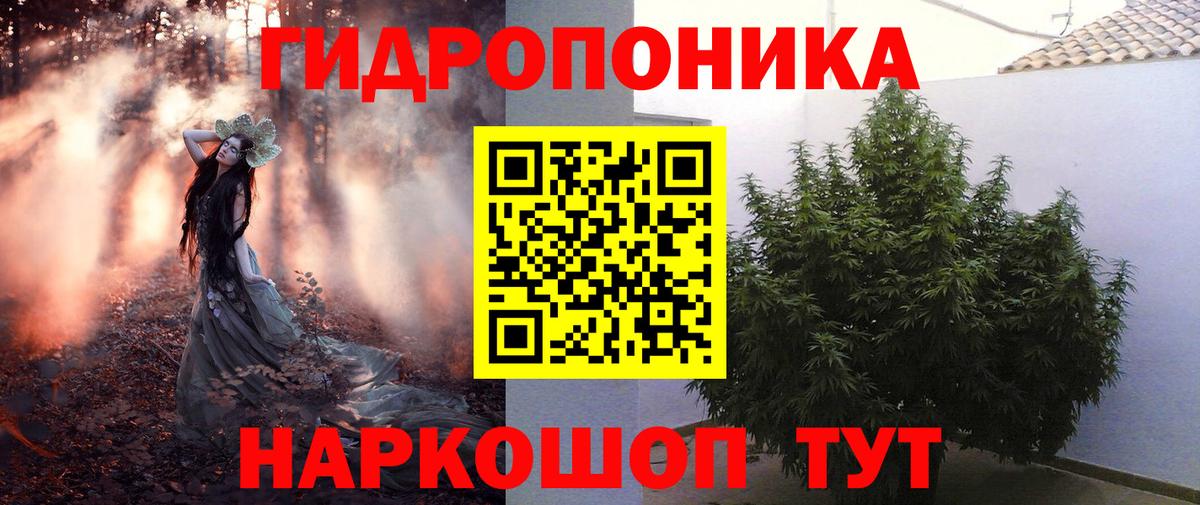 Шишки марихуана планчик Магнитогорск
